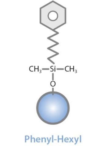 PHENYL HEXYL